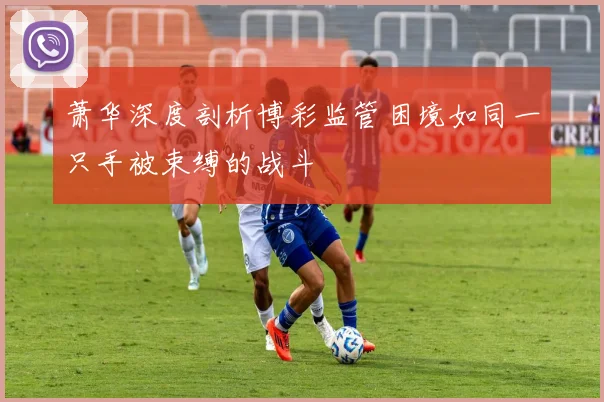 萧华深度剖析博彩监管困境如同一只手被束缚的战斗