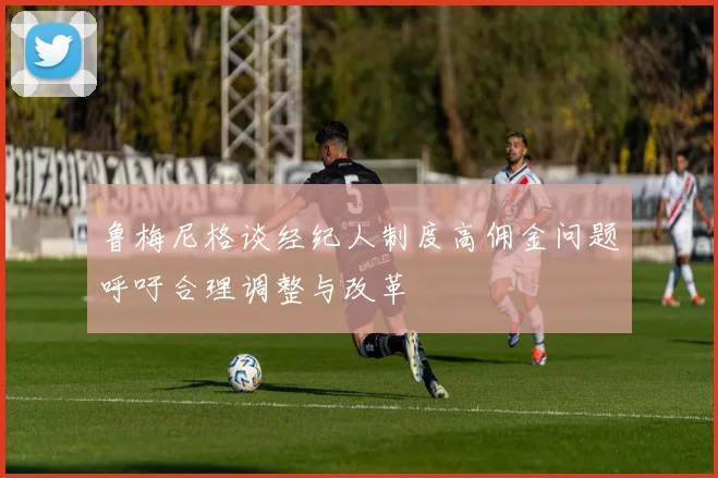 鲁梅尼格谈经纪人制度高佣金问题呼吁合理调整与改革