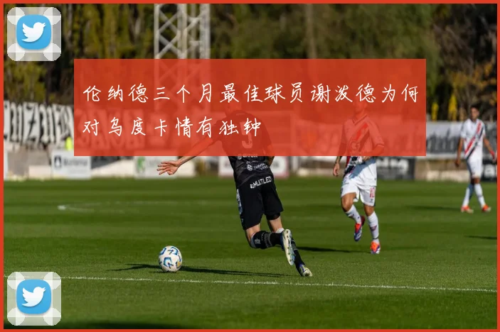 伦纳德三个月最佳球员谢泼德为何对乌度卡情有独钟